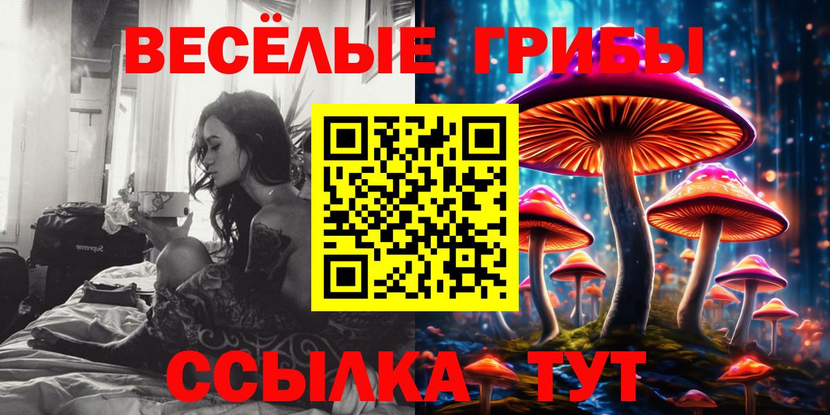 Псилоцибиновые грибы MAGIC MUSHROOMS  Вход с VPN  Псилоцибиновые грибы Cubensis  Сосновоборск 